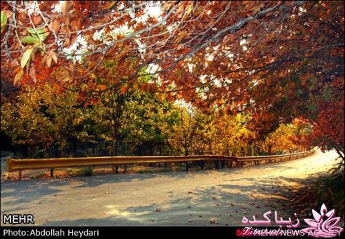 یک شهر با زیبا ترین پاییززز