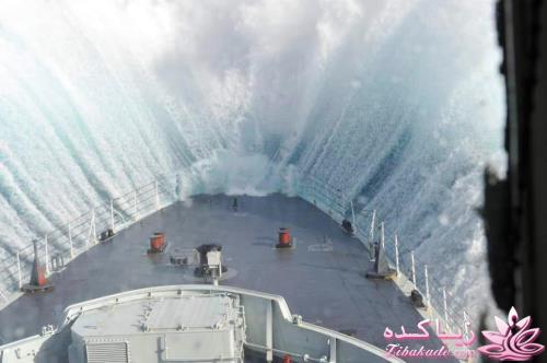 قاطی پاطی..........تاتی تاتی