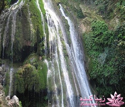 .:آلبوم عکسهای خودگرفته ما:.