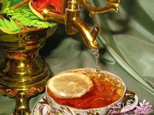كافه گفت وگو ...