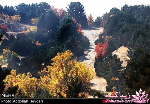 یک شهر با زیبا ترین پاییززز