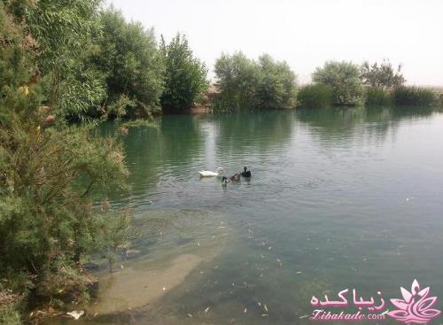 مسابقه عکاسی زیباکده ای مورد حمایت فروشگاه پانوراما**ویژه دریافت عکس**