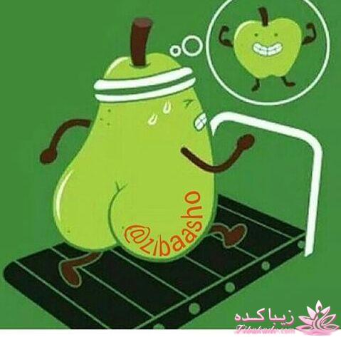 جـــــــــــــکـــــــ     جــــــــــالــــــــب