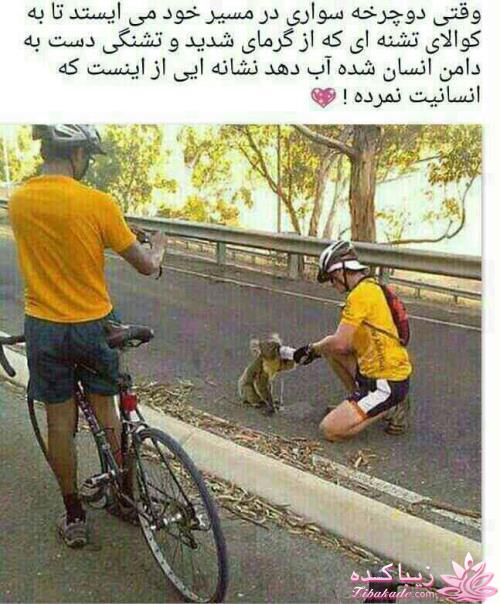 كافه گفت وگو ...
