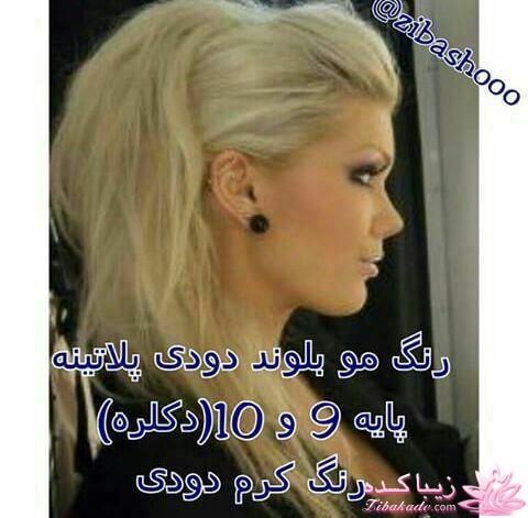 مدل های زیبای مو (ر نگ و شینیون)