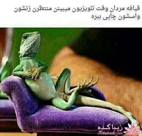 جـــــــــــــکـــــــ     جــــــــــالــــــــب