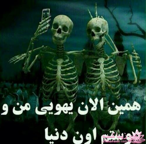 جـــــــــــــکـــــــ     جــــــــــالــــــــب