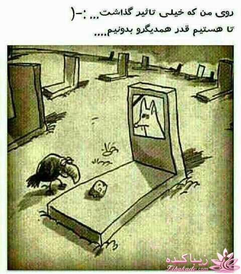 كافه گفت وگو ...