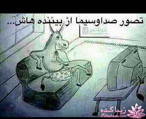 جـــــــــــــکـــــــ     جــــــــــالــــــــب