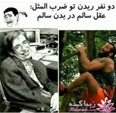 جـــــــــــــکـــــــ     جــــــــــالــــــــب