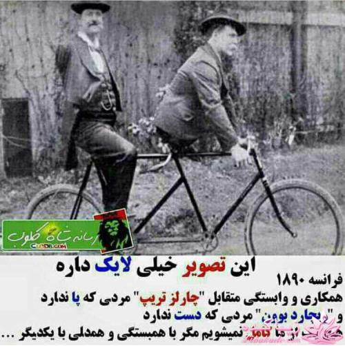 كافه گفت وگو ...