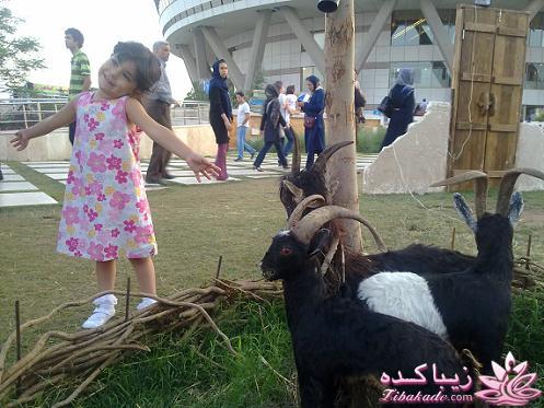 النا: موهبت الهی (خاطرات و عکسهای النا)