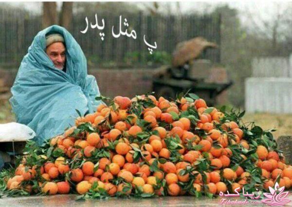 كافه گفت وگو ...