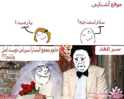 ترول های خنده دار | ترول های جدید 