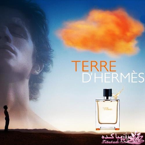 معرفی بهترین عطر و ادکلن ها