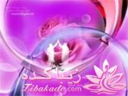 عید غدیر مبارک