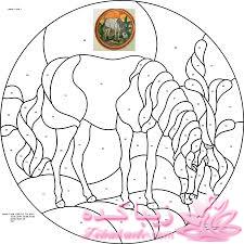 همه چیز در مورد ویترای...