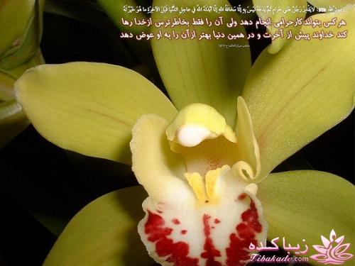 سخنان ارزشمند