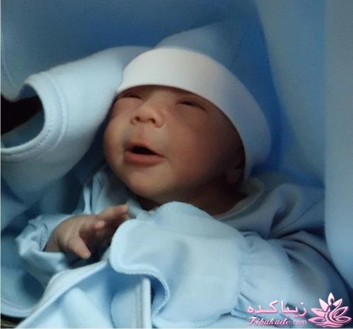 مسابقه عکاسی زیباکده ای مورد حمایت فروشگاه پانوراما**ویژه دریافت عکس**