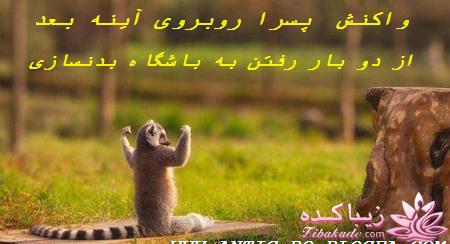 اینـــــا (خانم ها) وووووووو اونـــــــا (آقایون) ------"شوخی و خنده"