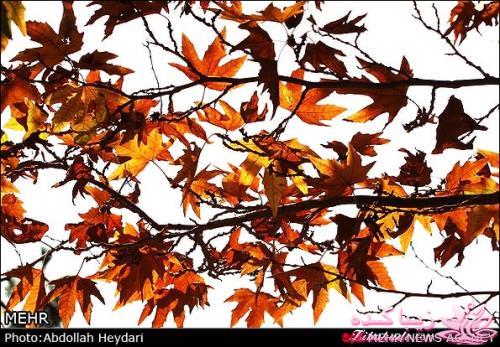 یک شهر با زیبا ترین پاییززز