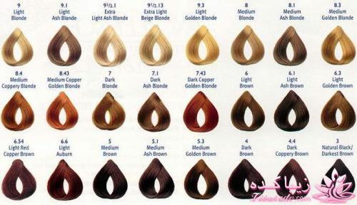 رنگ مو، آموزش ترکیب رنگ مو