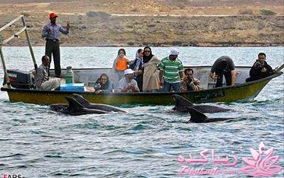 با من همراه شو