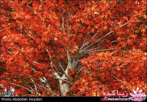 یک شهر با زیبا ترین پاییززز