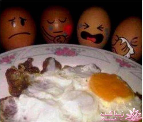 جـــــــــــــکـــــــ     جــــــــــالــــــــب