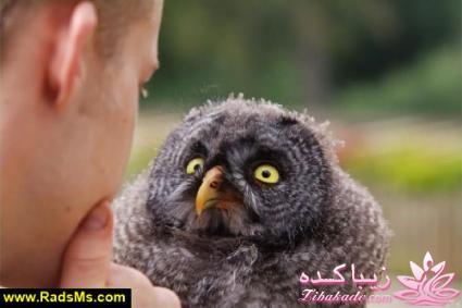 جـــــــــــــکـــــــ     جــــــــــالــــــــب