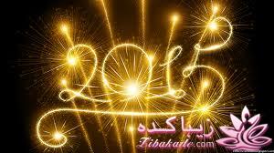 جشن‌ سال نو میلادی در سرتاسر دنیا 