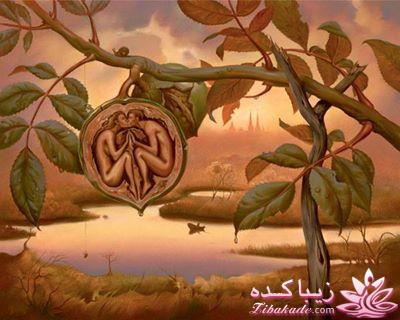 نکته عکس رو گرفتی؟؟؟؟