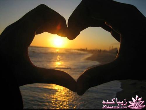 .:آلبوم عکسهای خودگرفته ما:.