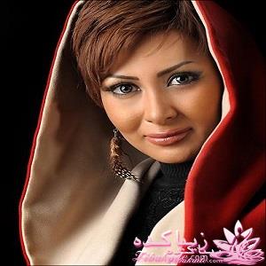 رنگ مو، آموزش ترکیب رنگ مو