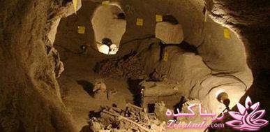 با من همراه شو