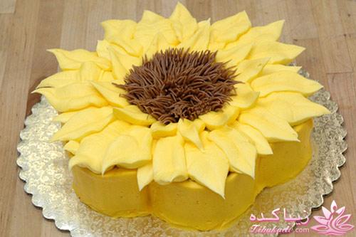 کیک تولد | کودک و نوجوان | تصاویر و عکس