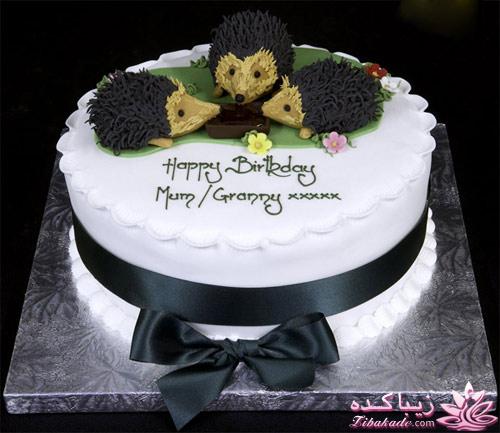 کیک تولد | کودک و نوجوان | تصاویر و عکس