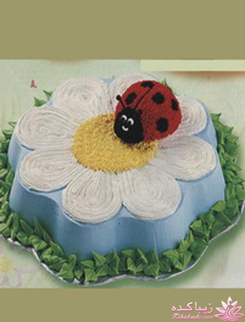 کیک تولد | کودک و نوجوان | تصاویر و عکس