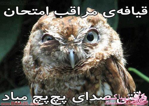 عکس های خنده دار