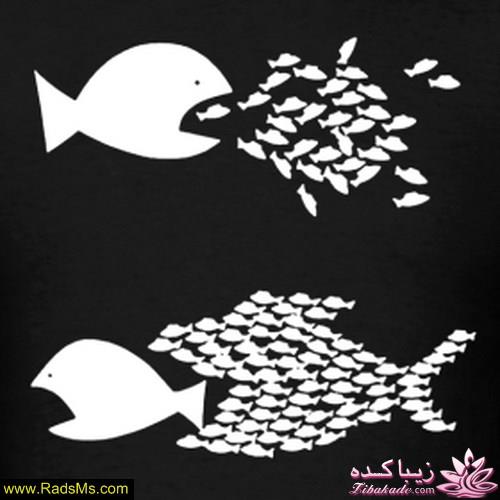 نی نی سایتی ها اخراج ج ج