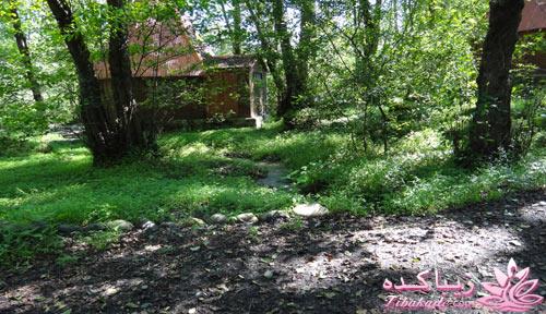 .:آلبوم عکسهای خودگرفته ما:.