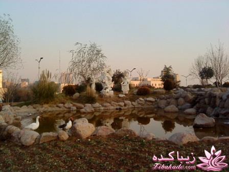 .:آلبوم عکسهای خودگرفته ما:.