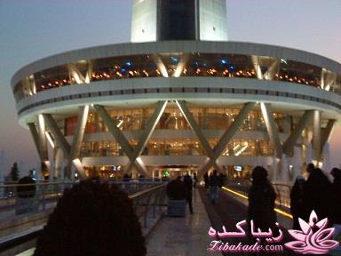 .:آلبوم عکسهای خودگرفته ما:.