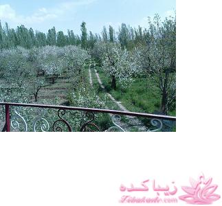 .:آلبوم عکسهای خودگرفته ما:.