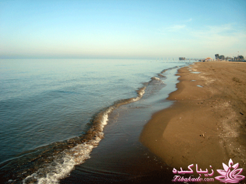 .:آلبوم عکسهای خودگرفته ما:.