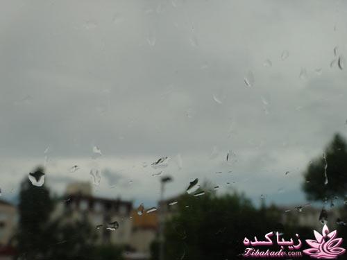 .:آلبوم عکسهای خودگرفته ما:.