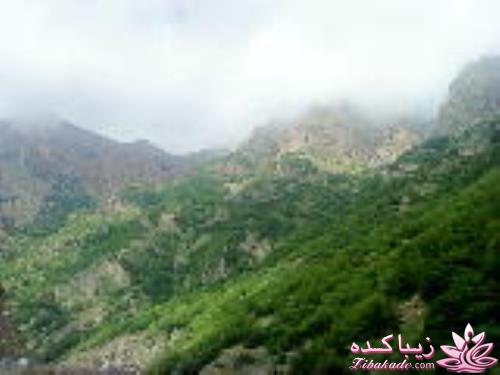 .:آلبوم عکسهای خودگرفته ما:.