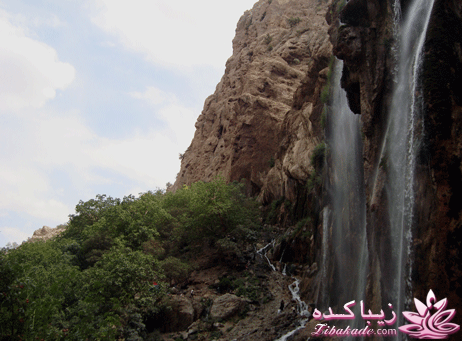 .:آلبوم عکسهای خودگرفته ما:.