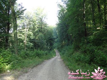 .:آلبوم عکسهای خودگرفته ما:.