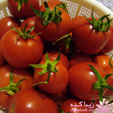 .:آلبوم عکسهای خودگرفته ما:.